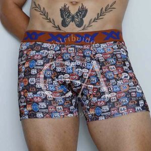 BOXER ALG. Y LYC. ESTAMP