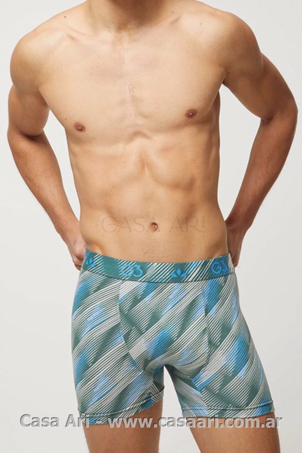 Boxer Estampado Alg print