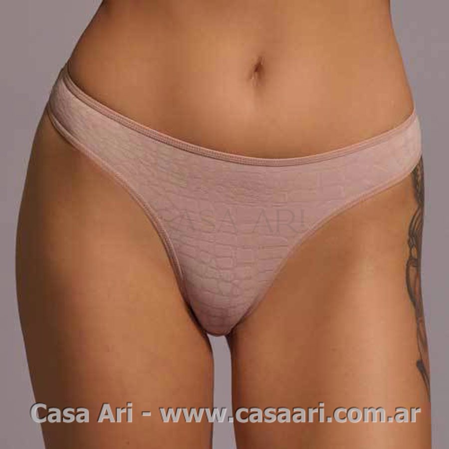 Pack x3 vedetina jacquar